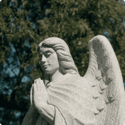 Seasonal Maintenance and Decoration Guidelines for Winter